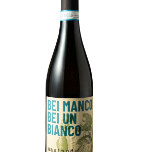 Pinot Grigio DOP 2025
